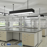 Équipement de laboratoire OEM mobilier de bureau mobilier de laboratoire microbiologie tables de laboratoire banc de traitement des cas