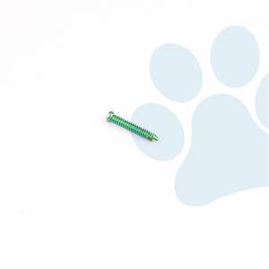 Implante Quirúrgico Veterinario Ortopédico con Tornillo de Bloqueo AO de 1.6mm, 2.4mm, 3.2mm, 4.0mm para Procedimientos de Fijación Ósea en Animales - Product Image 4