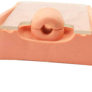 Model pelatihan alat Intrauterine, Model alat kontrasepsi dalam rahim wanita canggih (IUD) - Product Image 4