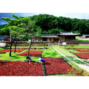 [Biggalchan 130g] Flocons épicés coréens authentiques pour la préparation traditionnelle du kimchi, assaisonnement épicé, poudre de piment rouge - Product Image 5