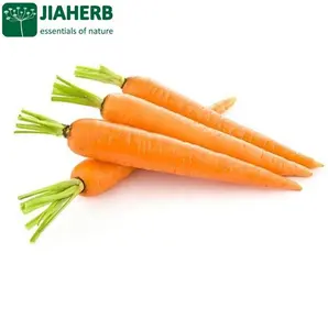 JIAHERB Carrot Juice Powder DaucusニンジンL。var.時期尚早Hoffm。