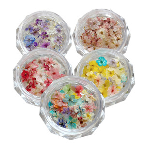 <span class=keywords><strong>Flores</strong></span> Secas Naturales de la Serie TSZS Monet Garden <span class=keywords><strong>para</strong></span> Decoración de <span class=keywords><strong>Uñas</strong></span>, Pequeños Materiales Florales de Cinco Pétalos en Colores Mixtos <span class=keywords><strong>para</strong></span> Manualidades - Product Image 5