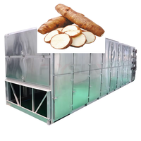 Séchoir à bande maillée pour manioc, Ligne de production de séchage de racines de manioc frais, Machine à bande maillée pour tapioca, Équipement de séchage de chips de manioc