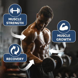 Cápsulas de Creatina Monohidrato OEM, Fuerza Muscular, Crecimiento Muscular, Recuperación, Promueve el Rendimiento Atlético de Élite - Product Image 5