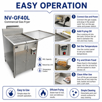 Friteuse professionnelle à gaz 40L en acier inoxydable, pour poulet et frites, directement de l'usine, personnalisable OEM