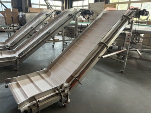 Gıda ve meyve üretimi için <span class=keywords><strong>Z</strong></span> tipi taşıma konveyör bant eğimli modüler konveyör bant - Product Image 2