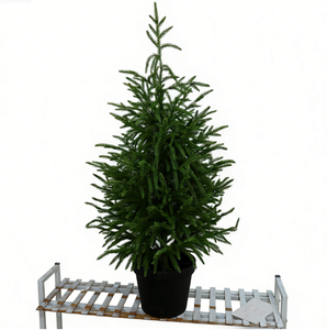 Sapin de Noël artificiel <span class=keywords><strong>en</strong></span> épicéa, 180 cm, <span class=keywords><strong>en</strong></span> <span class=keywords><strong>pot</strong></span>, vert, écologique, personnalisé, de haute qualité pour la décoration de la maison - Product Image 1