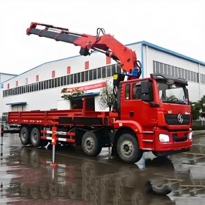 Shaanxi Auto Delong L3000 8 tonnes simple pont camion grue transmission manuelle carburant diesel utilisation répandue pour des conditions complexes - Product Image 1