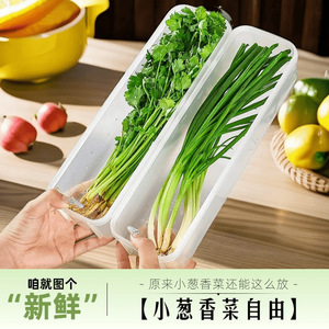 Refrigerator Food Storage <b>Containers</b> For Scallions Cilantro Green Onions Long Transparent Airtight <b>Plastic</b> With Seal <b>Lid</b> L Size - Product Image 3