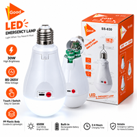IP54 6500K Lithium-Batterie AC85-265V Superhelle Hochwertige Camping- und Notfall-USB-Aufladbare 30W LED-Glühbirne