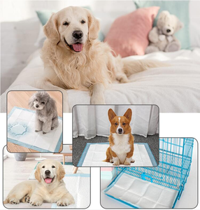 <span class=keywords><strong>Tapis</strong></span> d'entraînement pour <span class=keywords><strong>chien</strong></span>, antidérapant, léger, à séchage rapide, super absorbant, jetable, avec adhésif - Product Image 5