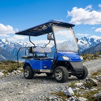 Voiturette de golf électrique 4 places certifiée CE, design léger et écologique, vitesse 35 km/h, autonomie 90 km, batterie colloïdale 60V sans entretien