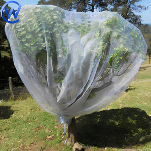 <span class=keywords><strong>Filet</strong></span> anti-insectes pour cerises agricoles, <span class=keywords><strong>protection</strong></span> des plantes et des légumes, <span class=keywords><strong>filet</strong></span> anti-insectes, couverture anti-mouches des fruits, <span class=keywords><strong>filet</strong></span> anti-insectes pour cerises - Product Image 2