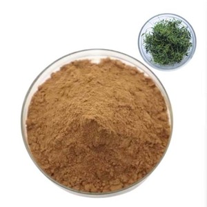 Estratto in Polvere di Saponine Erboristiche di Gynostemma Pentaphyllum 10:1 di Grado Alimentare - Product Image 4