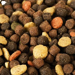 Produit de haute qualité et excellent et ligne de production complète de croquettes pour animaux de compagnie avec tout l'équipement - Product Image 6