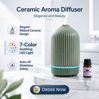 Diffuseur d'arômes en céramique 100 ml, prix d'usine en gros, logo personnalisé, texture côtelée artisanale, diffuseur d'huiles essentielles en porcelaine