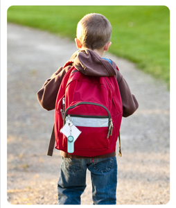 Saku keamanan pertahanan diri keselamatan Alarm pribadi ulasan alarm pribadi gantungan kunci kustom dengan Senter obor - Product Image 6