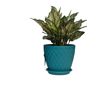 Macetas de Plástico PP Policromadas de Alta Calidad para Uso en Interiores y Exteriores, Diseño Contemporáneo para Apartamentos, Hoteles y Pisos - Product Image 4