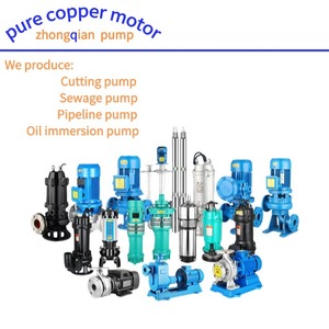 1.8 Kilowatt Iron Stainless Steel Submersible High Flow Cement Slurry Pump for <strong>Fish</strong> Pond Silt Removal Sand Pumping Sewage - Product Image 5
