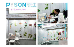 Продукт для здоровья мужчин, порошок с экстрактом карликовой пальмы, жирные кислоты 80% - Product Image 4