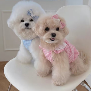 Gonna estiva per animali domestici vestiti per gatti per cani leggeri morbidi e confortevoli gonne per cuccioli abito per animali domestici - Product Image 1