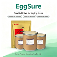 EggSure Additif Alimentaire Naturel à Base de Plantes pour la Santé Gastro-intestinale, Prolonge la Plage de Ponte, Améliore la Qualité des Œufs pour les Poules Pondesuses