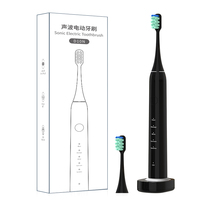Brosse à dents électrique Maglev personnalisée OEM/OTM pour technologie étanche IPX7 Micro USB Babies Soft Inductive Charging ABS D10