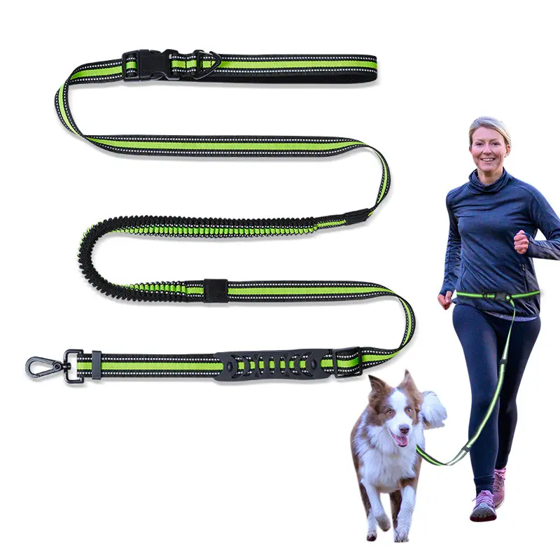 Großhandel Haustier-Hundeleine Outdoor einstellbar Nylon Bungee reflektierend laufende Hände kostenloses Haustier-Hundehalsband und Leinenset für Hunde