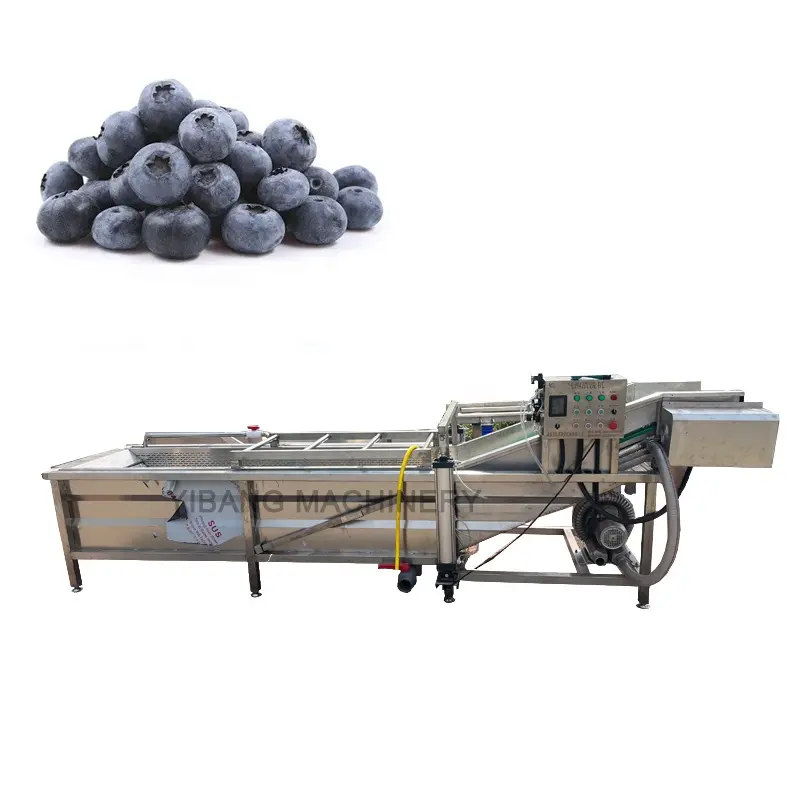 Mesin pembersih Blueberry mesin cuci Kumquat stroberi jeruk gelembung buah Pitaya kapasitas dapat disesuaikan industri