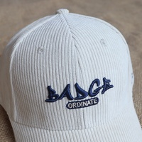 Gorras de Béisbol Deportivas Casuales para Mujer, con Logotipo Bordado en 3D Personalizado, de Pana, 6 Paneles, Estructuradas, con Visera Curva, en Oferta