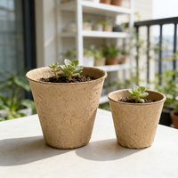 Plasticvrije kwekerspotten voor Europa, biologisch afbreekbare pulp zaailingbekers 6/8/12 cellen, composteerbare zaaitrays voor de Britse markt