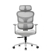 Chaise de bureau exécutive de luxe à dossier réglable en maille, design moderne, ergonomique, pivotante, accoudoirs 4D, multifonction, soutien lombaire, pour atelier