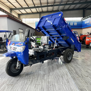 Hot Chất lượng cao bán Dump Cargo ba bánh tải ba bánh xe gắn máy 3 bánh xe ba bánh cho vận chuyển hàng hóa cho bán - Product Image 3