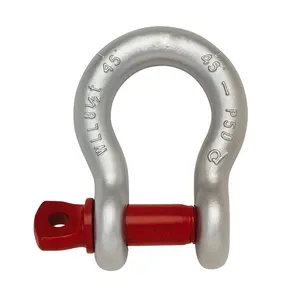 JIS Screw Pin Shape Anchor Shackle Shackle Rigging Hardware Fittings 304 AISI316 Stainless Steel European Type Heavy Duty Bow