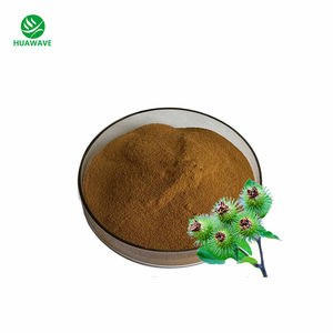 有機ゴボウ根粉末10:1 20:1 30:1 50:1ゴボウ根カプセルゴボウ根エキス - Product Image 2