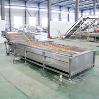 Sus 304 Avocado Ozon Groentewasmachine Koolreiniger Fruitwasser Wortels Reinigingsmachine Sla-wasser