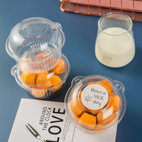 Boîte en plastique PET transparente, idéale pour les fruits, les biscuits et les mini-gâteaux, avec un couvercle à rabat, parfaite pour l'emballage à emporter.