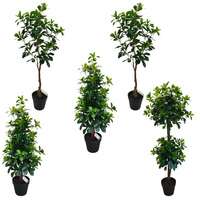 Arbres artificiels en bonsaï Polyscias Guilfoylei verts de 90 cm et 120 cm pour la décoration intérieure des hôtels et restaurants