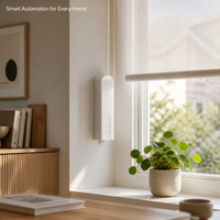 Kit de moteur de chaîne motorisé électrique Tuya Wifi pour stores automatiques, compatible Alexa Google Home, pour maison intelligente