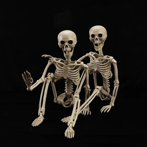 Achetez le squelette classique de 65 pouces grandeur nature de Spirit Halloween, accessoires animés et mobiles, décorations fantaisie pour Halloween - Product Image 6