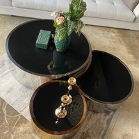 WDY-Table à thé avec cadre en acier inoxydable doré, ensemble de table basse ronde moderne en verre pour le salon