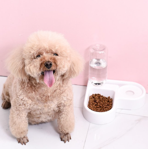 Küçük Otomatik Evcil Hayvan Besleyici ve Su Sebili Bir Arada Nem Geçirmez Kediler ve Köpekler İçin İç/Dış Mekan Kullanımı - Product Image 6