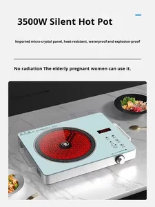 2025 mô hình mới của Đức công suất cao điện gốm cảm ứng tất cả-trong-một hộ gia đình nhỏ ấm đun nước trà nấu ăn nồi đặt pin - Product Image 5