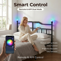 Cadre de lit minimaliste en acier noir avec prise électrique intégrée dans la tête de lit, lit plateforme moderne pour chambre à coucher
