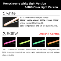 Bande lumineuse LED flexible personnalisable avec contrôle DMX512, étanche IP67, pixel RGBW, néon pour façade de bâtiment d'hôtel