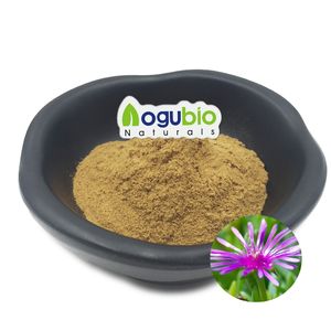 Hoge Kwaliteit Kruidenextract Kanna Puur Natuurlijke Kanna Extract Poeder - Product Image 1