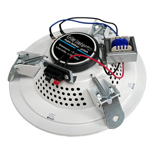 Altavoz de Techo Empotrado HAIQIANG <span class=keywords><strong>XD</strong></span>-TS304 de Alta Calidad, 70V/100V, 8 Pulgadas, ABS+Metal, Rango Completo, 20W, 2.0 Canales, 8 <span class=keywords><strong>MP3</strong></span>, para Cine en Casa - Product Image 3