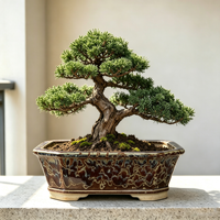 Pots de jardin irréguliers pour plantes succulentes, pots en porcelaine pour bonsaïs, pots rectangulaires émaillés pour arbres et plantes, écologiques, pour l'intérieur et l'extérieur