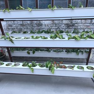 Rail en <span class=keywords><strong>pvc</strong></span> résistante à la Corrosion, rouleau de 1 kg, matériel de construction, faible prix, acide et alcaline, système hydroponique, fabrication de goutteurs de pluie - Product Image 3