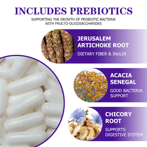 Best Selling Probiotic Capsules with Total Probiotic Activity Supports Accelerated Support Rates Supports Digedtive System - Product Image 5